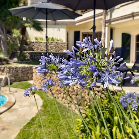 Townhouse With Pool And Mountain Views, Just 5 Min Holiday home Pollenca